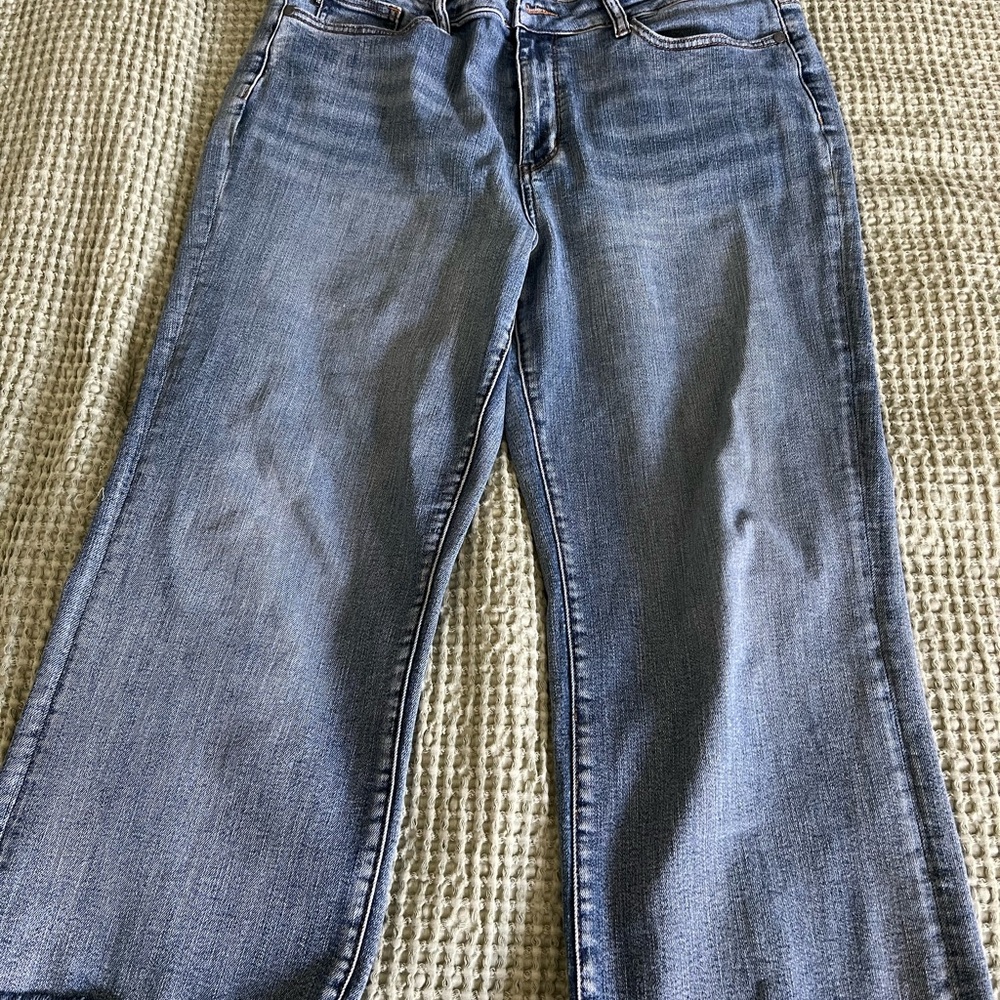 Judy Blue Capri Jeans